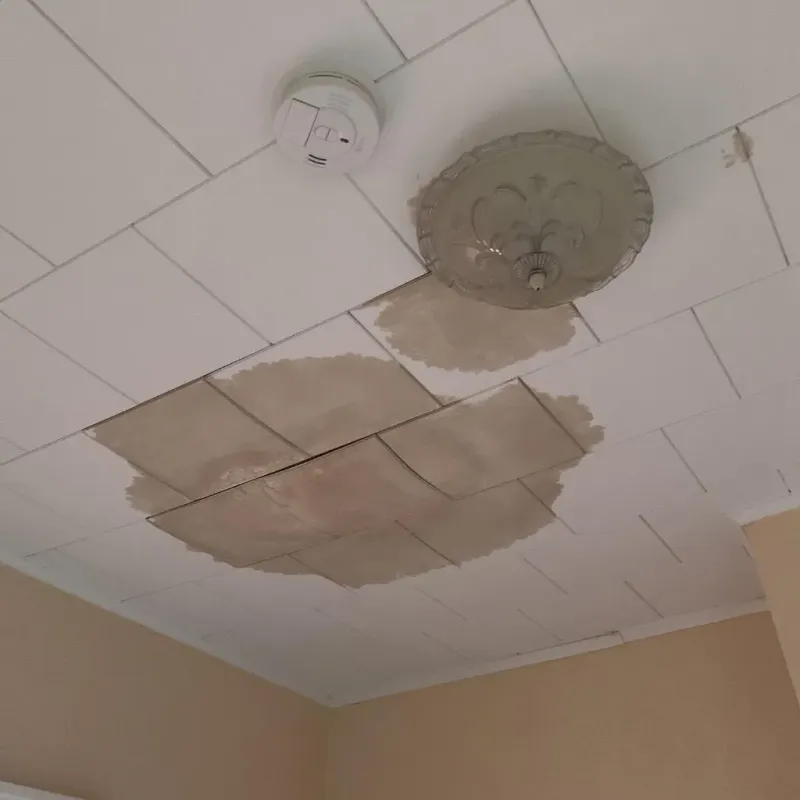 Ceiling Water Damage Repair in Elk River, MN