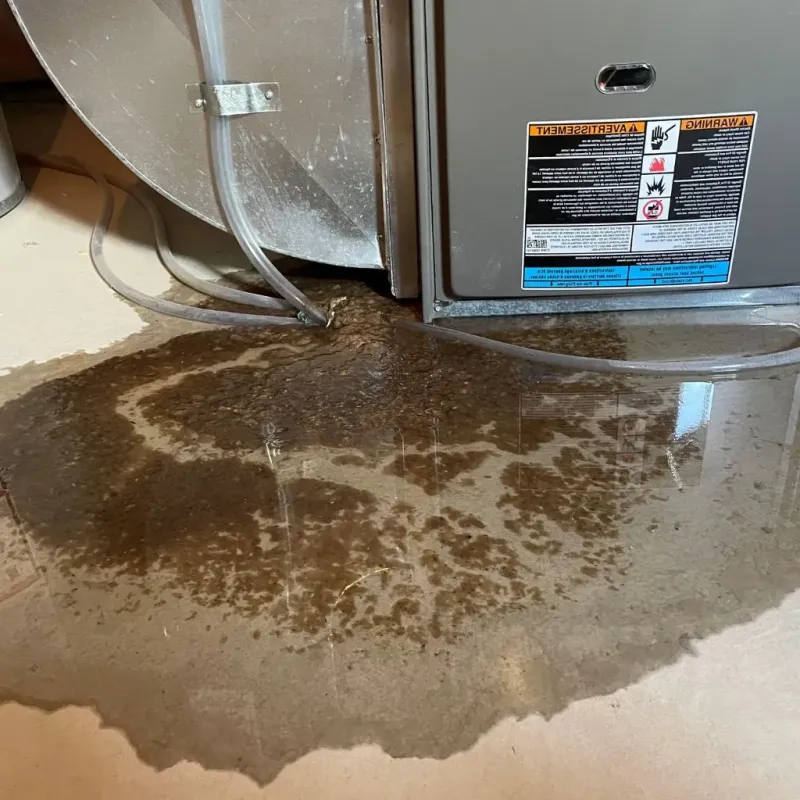 Pipe Burst and Leak Restoration in Elk River, MN