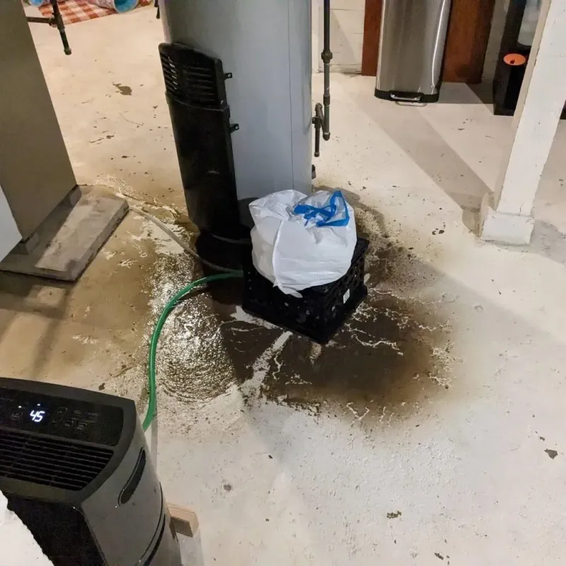Sewage Backup Cleanup Service in Elk River, MN